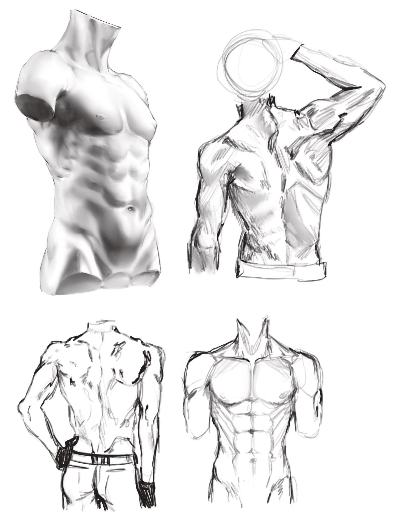 a drawing of a male torso from different angles. the drawings are all sketches, with some details in the muscles, and showing the front and back of the torso.