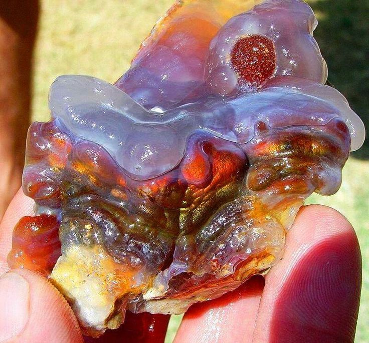 a colorful agate geode held in a hand. the geode is filled with beautiful colors of red, orange, yellow, green, blue, and purple. the geode is very shiny and smooth, and it has a beautiful texture. the geode looks very interesting and beautiful in the hand.