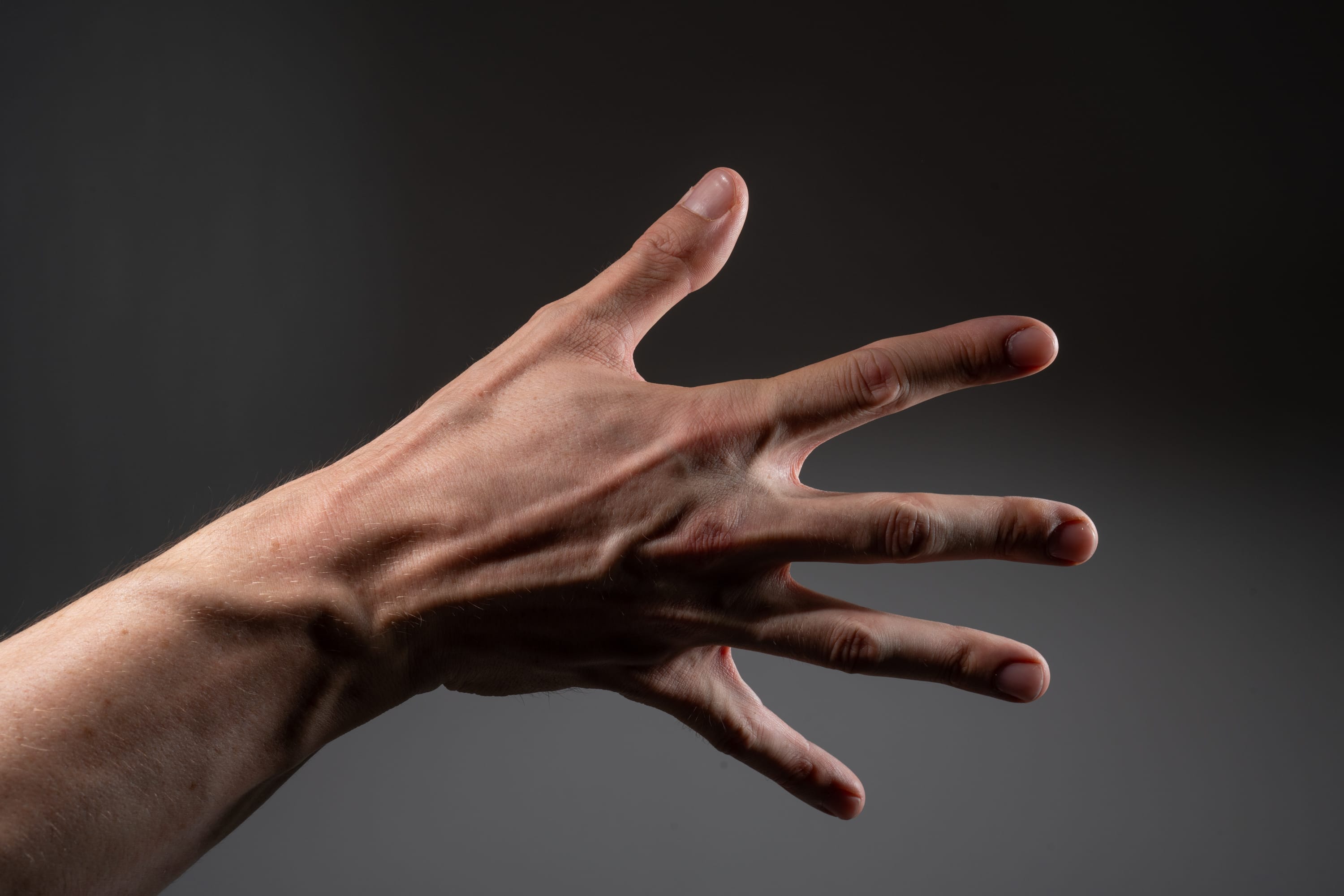 a closeup image of a man's hand extended, showcasing the intricate details of the skin, veins, tendons, and muscles. set against a dark background, the dramatic studio lighting highlights the hand's textures and creates a strong contrast. the image offers a fascinating study of human anatomy and the expressiveness of a simple gesture.