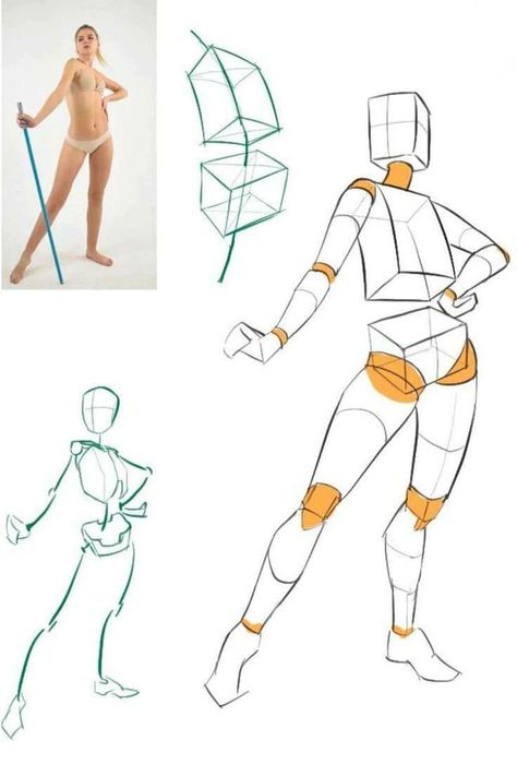 the image showcases a figure drawing tutorial, featuring a woman in a relaxed pose.  there's a reference photograph of the woman on the left. the rest of the image breaks down the process of drawing the human figure. it starts with basic shapes, like boxes and cylinders, to establish the pose and proportions. then, lines indicate the flow and direction of the body. finally, there's a more detailed sketch that refines the body contours and suggests muscle groups. the use of color highlights key areas like the pelvis and chest, emphasizing their importance in figure drawing.
