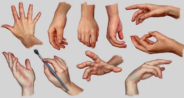 a reference image for artists shows multiple studies of human hands in different positions and poses. the hands are drawn realistically in a graphite medium with shading and detail. the background is a plain, light gray.