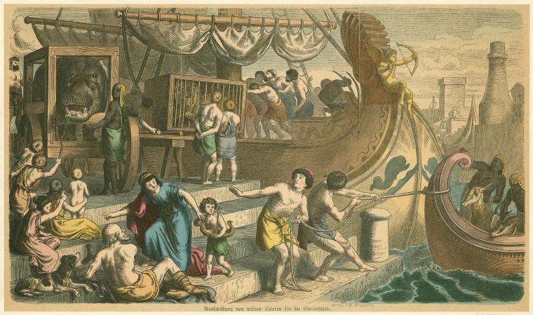 this is an image depicting the unloading of wild animals from ships for the arena. the scene features multiple boats docked at a waterfront with various people, animals, and structures. in the foreground, people are standing or sitting on a set of stairs leading up to the boats. a dog is seen lying down on the stairs. men are pulling ropes to dock the ships. the ships are laden with cages containing wild animals including a hippopotamus. in the background, buildings and sculptures are visible.