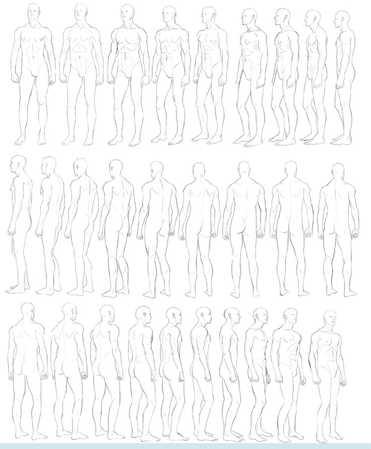 the image is a collection of male body sketches in various poses. the sketches are drawn in a simple, anatomical style, with emphasis on the form and structure of the body. the sketches are arranged in three rows of eight, with each row showing a different angle of the male figure. the sketches are a valuable resource for artists and anyone interested in learning about the human body.