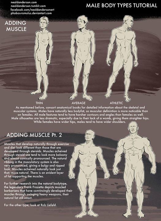 the image shows a tutorial on drawing male body types. there are three columns showing thin, average, and athletic physiques. the bottom portion of the image talks about adding muscle naturally through exercise and diet versus using steroids. the image shows the difference in how muscle looks in each case.
