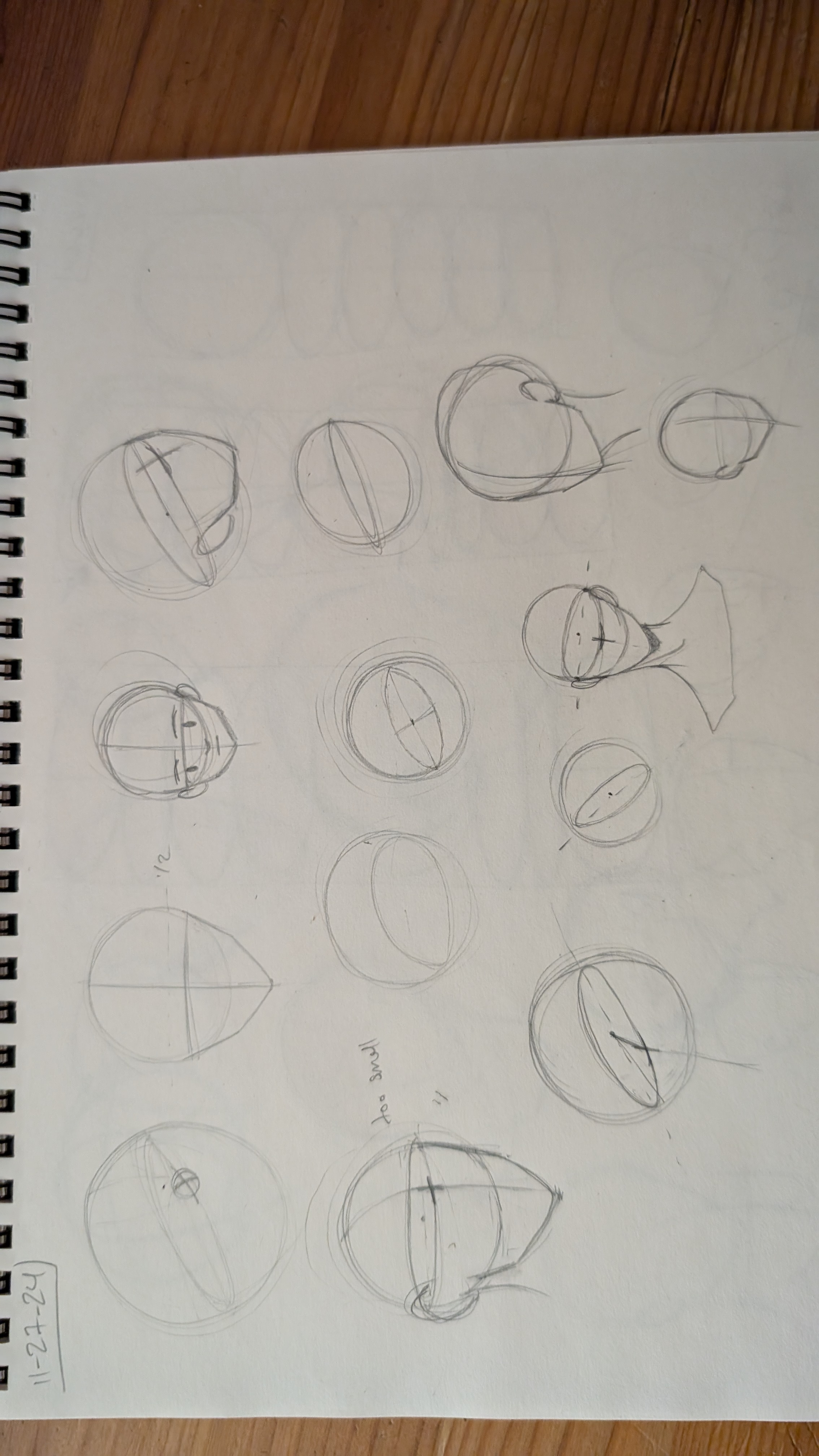 the image shows a sketchbook page filled with numerous pencil sketches of heads and faces, predominantly in an anime or manga style.  the drawings are basic constructions, focusing on the underlying shapes (primarily circles and ovals) used to create different head angles and perspectives. some sketches show more detail, while others only depict the fundamental geometric shapes. there are multiple variations of head rotations and tilting. the sketches appear to be practice work for improving the ability to draw heads from various viewpoints. the style is simple, using light pencil strokes, suggesting an initial phase of drawing or a study.