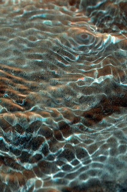 a closeup view of water ripples. the sun is reflecting off the surface, creating a beautiful pattern of light and shadow. the image is desaturated, giving it a minimalist and ethereal feel. the water is still and peaceful, creating a sense of calm and serenity.