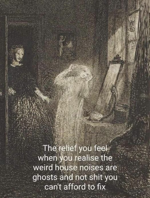 the image shows a dark drawing of two women and a mirror. one woman is standing in a doorway, while the other is standing in front of a mirror. there is text at the bottom of the image that reads, "the relief you feel when you realise the weird house noises are ghosts and not shit you can't afford to fix." it is a meme with a humorous tone.