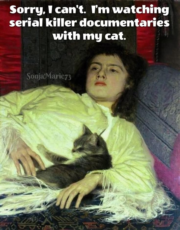 the image features a classicalstyle painting of a woman reclining on a patterned sofa or bed, covered with a yellow or white shawl. a gray cat is nestled on her lap, and the woman has a somewhat bored or indifferent expression. above the painting, there's white text that reads, "sorry, i can't. i'm watching serial killer documentaries with my cat." the text adds a humorous element to the image.