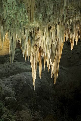 a closeup shot of a cave ceiling, showing a vast array of stalactites hanging down. the stalactites are a pale yellowish brown color, with some appearing to be covered in a greenish hue. the cave walls are a dark gray and almost completely shrouded in shadow, creating a stark contrast with the glowing stalactites. the image captures the aweinspiring beauty and the raw, unfiltered nature of these underground geological formations.