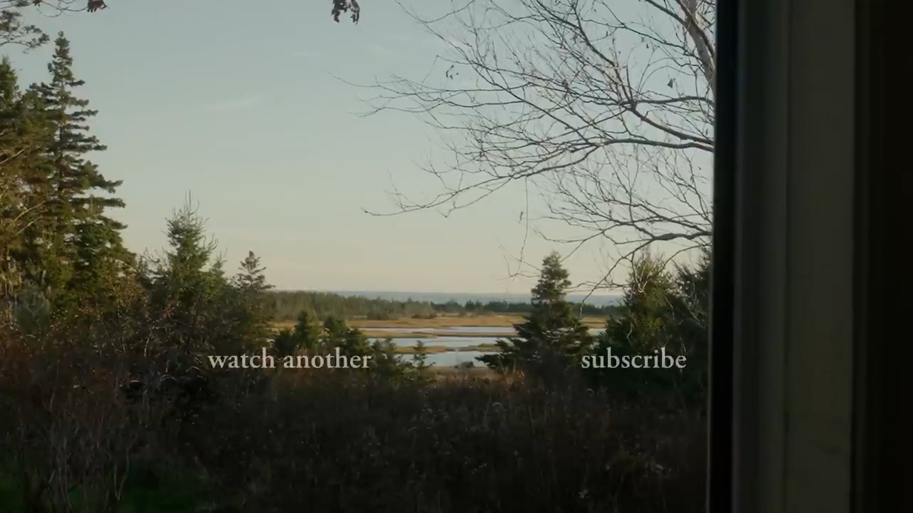 the image is a view of a body of water through a window, likely taken from inside a house.  there are many evergreen trees throughout the picture with a few bare branched deciduous trees. you can see the ocean in the distance.