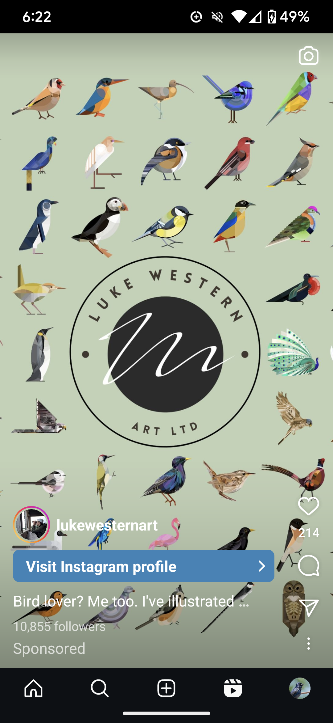 the image is a promotional post for an artist named "luke western". the post features a variety of colorful bird illustrations in a minimalist style, with the artist's logo and a call to action to visit their instagram profile. the post also includes a description that highlights the artist's passion for bird illustration and their large following.