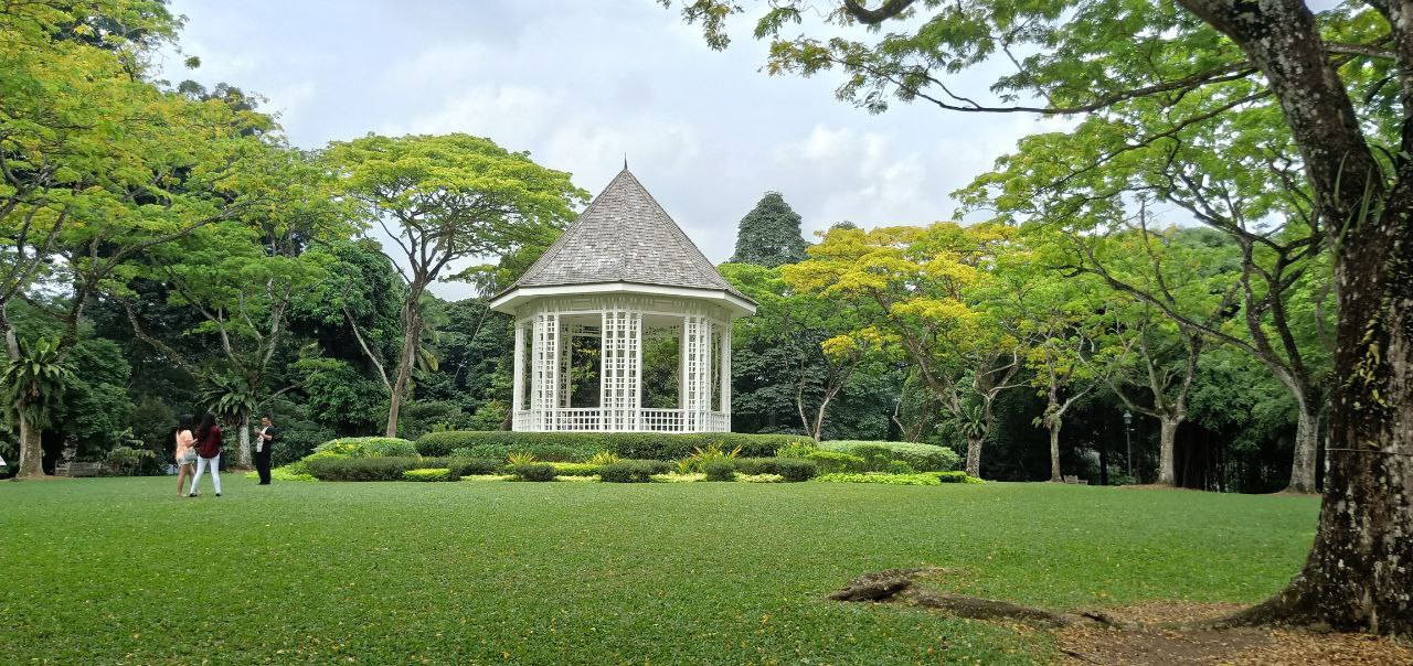 a white gazebo stands in a grassy park with lush green trees all around. three people are walking on a path towards the gazebo, with a man sitting on a bench in the background. the gazebo has a white, slatted roof and walls with lattice windows. the trees are a variety of species, with some showing off yellow leaves. the grass is wellmaintained and the scene is serene.