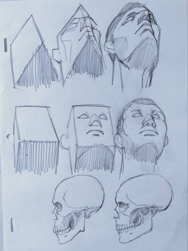 this is a pencil sketch of a human skull and several sketches of the human head in various poses. the artist has used lines and shading to depict the form and structure of the skull and head. the sketches show the artist's study of anatomy and their practice in drawing the human form.