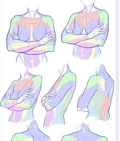 the image consists of several sketches of a woman's upper body from various angles. the drawings highlight the underlying muscle structure using different pastel colors. the woman is depicted with her arms crossed across her chest. the sketches serve as a guide for understanding human anatomy and form, particularly for artists.