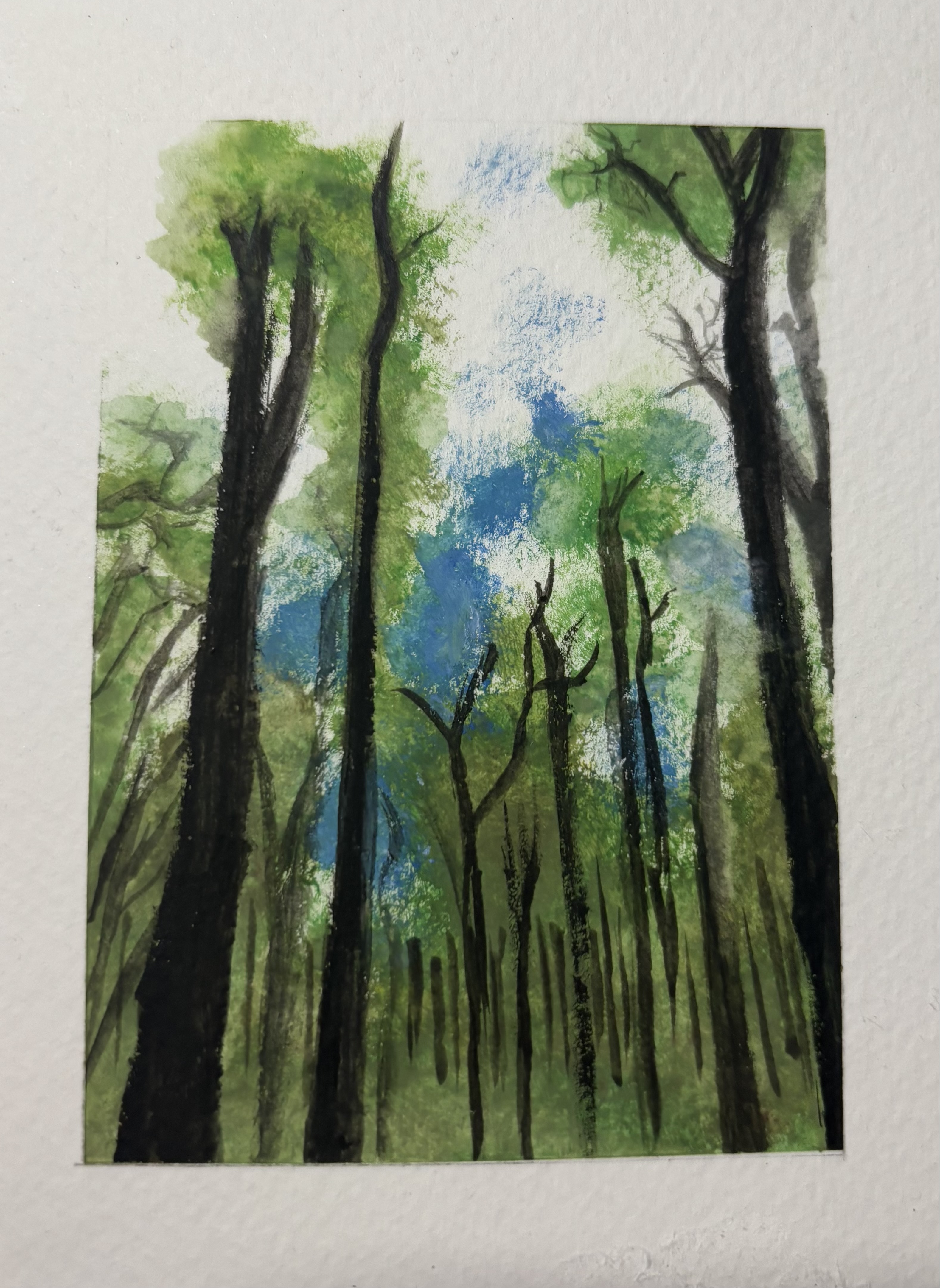 a watercolor painting depicts a forest scene looking up at the trees. tall tree trunks rise vertically, colored in shades of dark brown and green. the foliage above is painted in various shades of green, with patches of blue and white representing the sky. the painting captures a sense of depth and perspective, creating a natural and tranquil atmosphere.