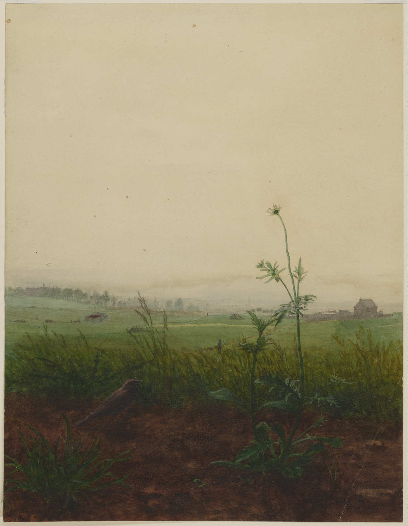 the image is a painting of a rural landscape. in the foreground, there is brown earth with patches of green grass and weeds. a tall, green plant stands out against the background. beyond the foreground, there is a green field that stretches to the horizon. in the distance, there are trees and buildings, adding depth to the scene. the sky is a muted color, contributing to the overall calm and peaceful atmosphere of the painting.