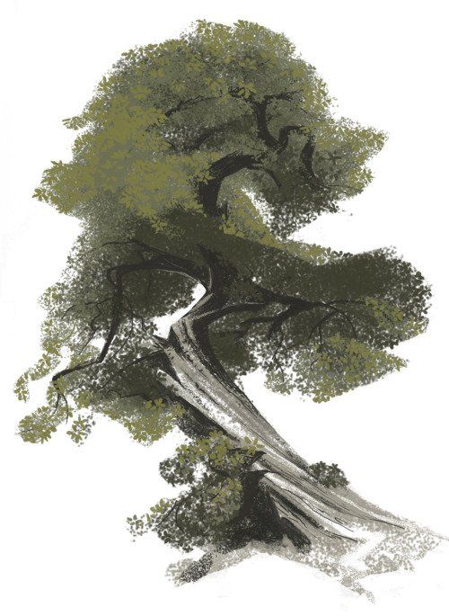 the image is an artistic rendering of a large, old tree.  the tree is depicted with a thick, gnarled trunk that leans heavily to one side, almost touching the ground.  its branches are twisted and spread out widely, creating a dense canopy of olivegreen leaves.  the bark appears textured and weathered, showing signs of age. the style is painterly and slightly abstract, with visible brushstrokes and a focus on capturing the essence of the tree rather than photorealistic detail. the tree is isolated against a stark white background, drawing attention to its form and character. the overall impression is one of age, resilience, and perhaps even a sense of strength despite the leaning posture.