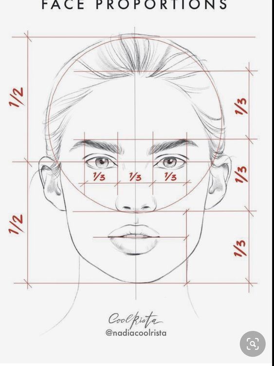 the image shows a sketch of a human face with guidelines illustrating face proportions. lines and fractions (1/2 and 1/3) mark out the relative positions and sizes of facial features like the eyes, nose, mouth, and ears. the style suggests it's for artistic guidance or drawing instructions. the artist's name "coolrista" and username "@nadiacoolrista" are included at the bottom of the image.