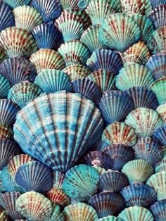 a closeup view of a collection of seashells, showcasing the intricate patterns and textures of their surface.  the shells are arranged in a visually appealing and chaotic manner, creating a sense of depth and dimension. the colors range from deep blues to vibrant greens and earthy browns, highlighting the natural beauty of these marine treasures.