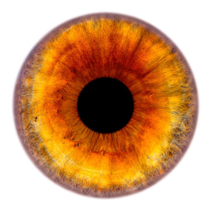 a closeup macro shot of a human eye, focusing on the iris which exhibits a blend of orange and brown hues, with a contrasting black pupil. the image highlights the intricate details and coloration of the iris.