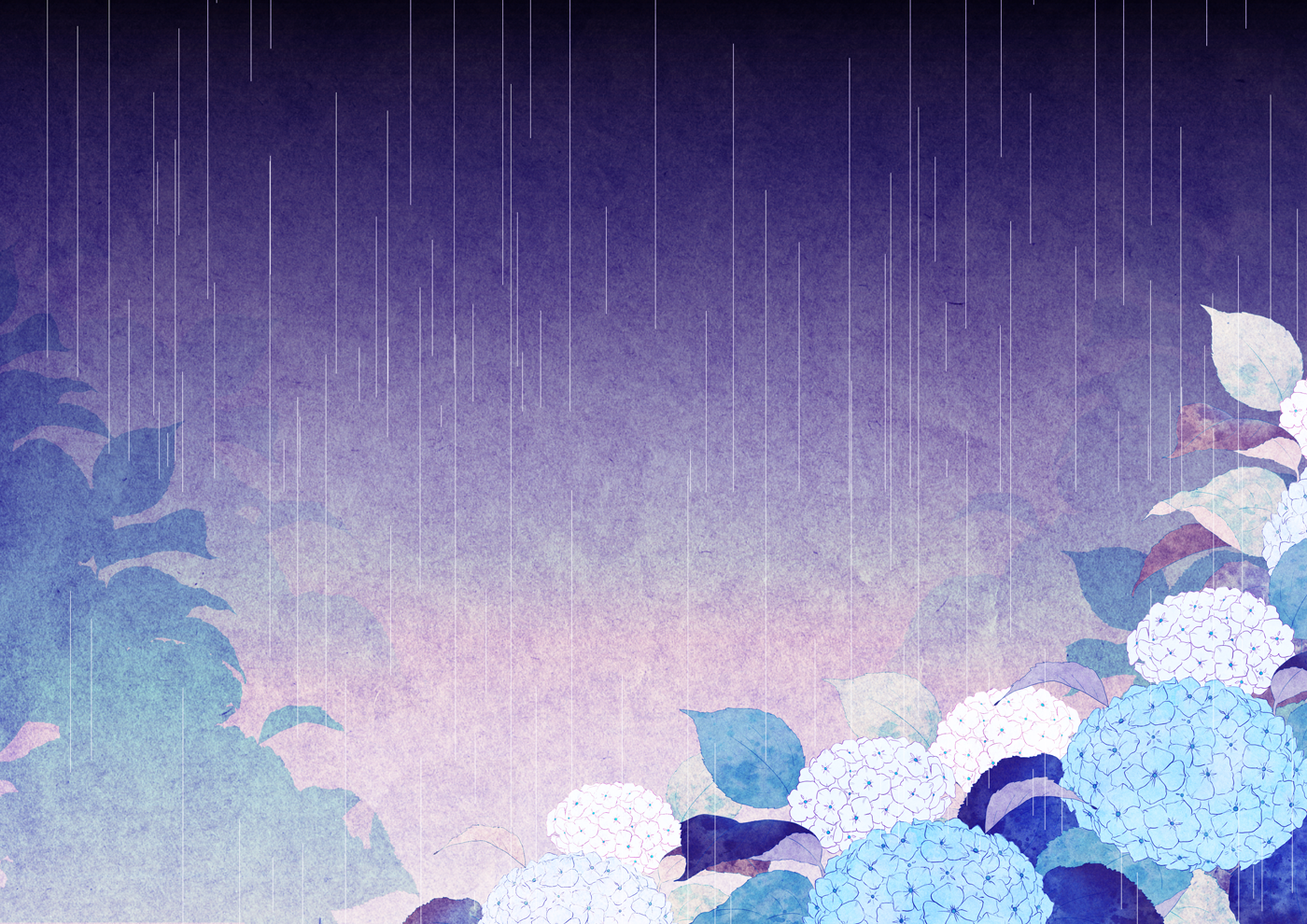 the image features blue and white hydrangea flowers in bloom, clustered together in the lower right corner against a backdrop of falling rain. the background transitions from a deep indigo at the top to a soft, muted pink at the bottom, evoking a sense of depth and the hazy atmosphere of a rainy day. large, stylized leaves in shades of teal and blue frame the flowers, adding to the natural ambiance. the overall aesthetic is delicate and serene, reminiscent of traditional japanese art styles.