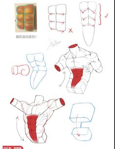 the image is a drawing tutorial on how to draw the male torso and abdominal muscles. it shows different angles and uses simplified shapes to help understand the muscle structure. the tutorial highlights common mistakes and provides a corrected version.