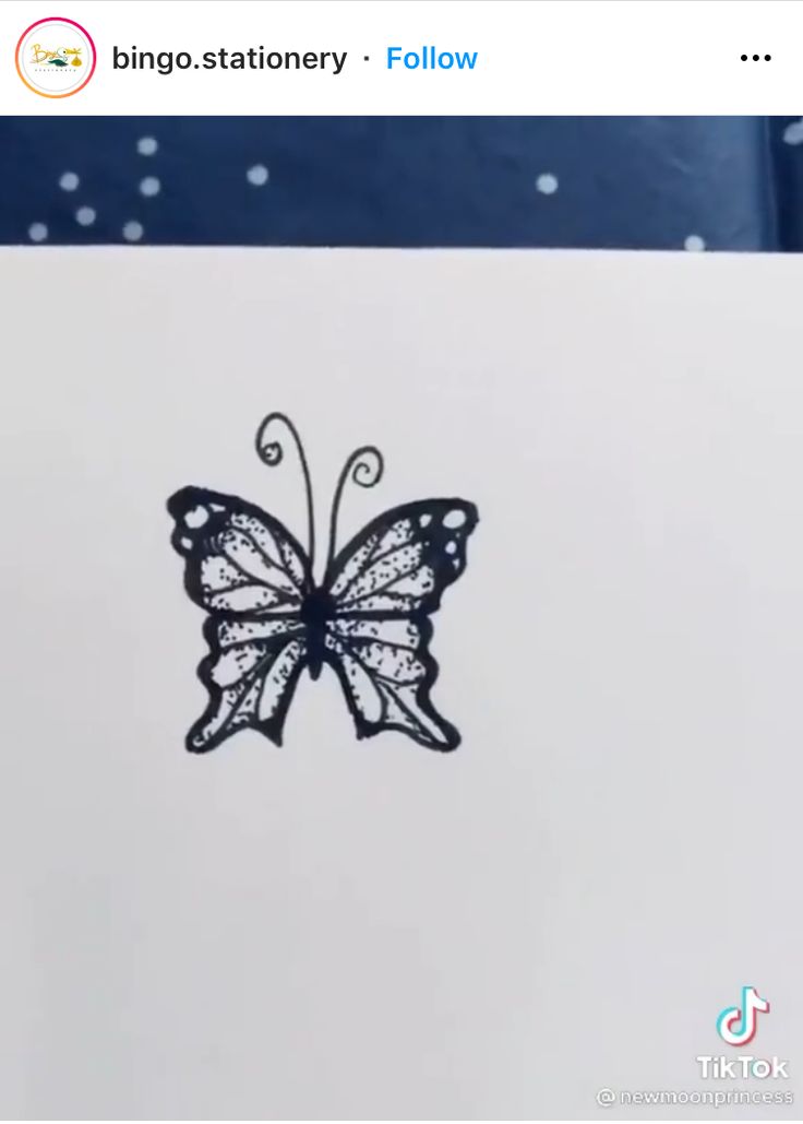 the image shows a closeup of a handdrawn black and white butterfly sketch on white paper. the butterfly is simple yet elegant, with detailed wings and antennae. the style is minimalistic and delicate. the background features a dark blue section at the top, with white dots sparsely scattered. the image also includes the tiktok watermark and the handle "@newmoonprincess".  the top of the image has the text "bingo.stationery • follow".