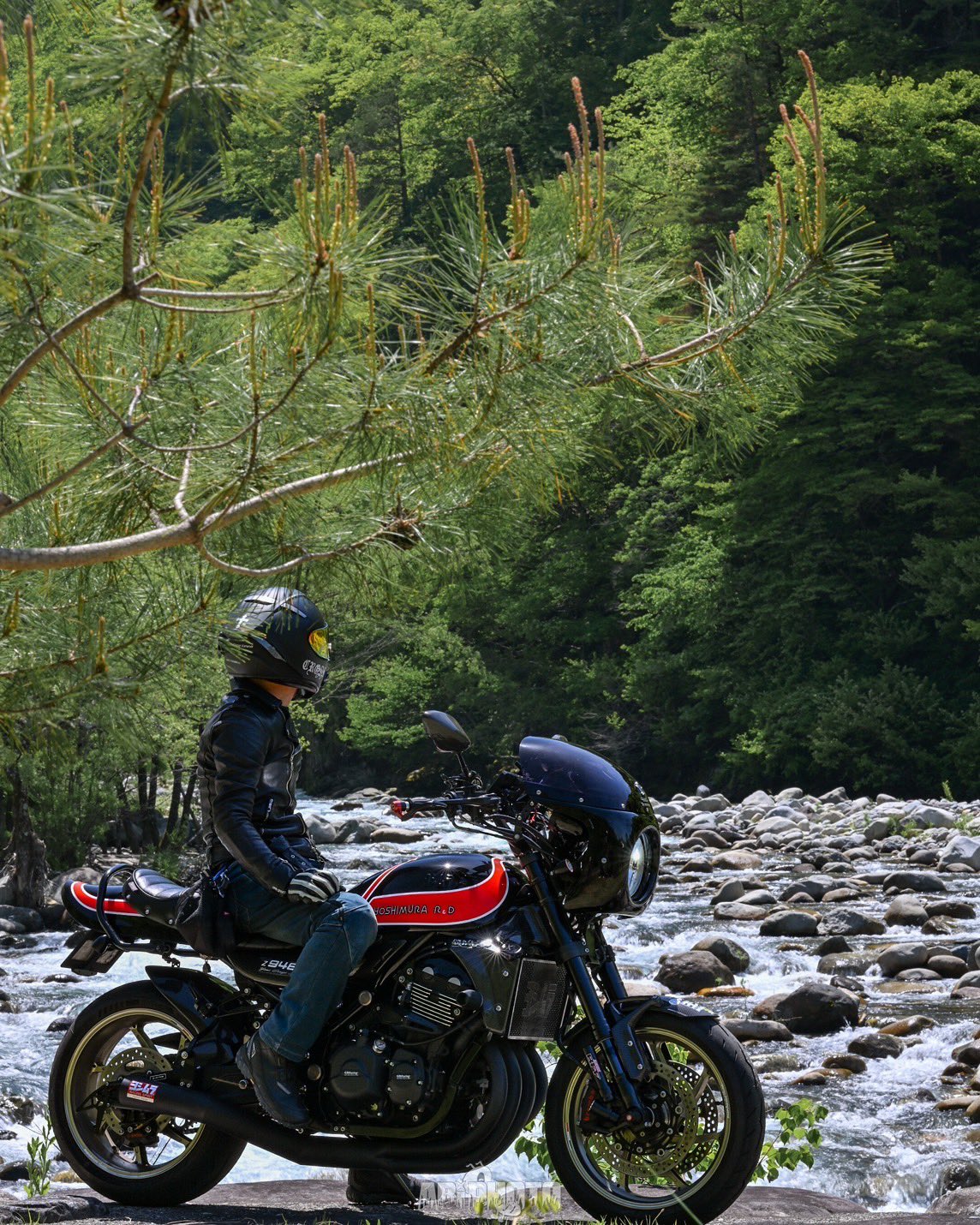 a motorcyclist sits on his black motorcycle with red accents next to a river in a forest. the rider is wearing a black leather jacket and helmet. the motorcycle is parked on a rocky riverbank next to a fastflowing stream. the forest behind the motorcyclist is lush and green with pine trees. the rider is looking down at the river.  the motorcyclist is enjoying a beautiful day in the forest.