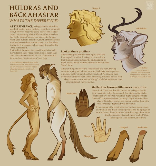 the image is an illustration comparing the anatomy of a skogsrå (a type of forest spirit) and a bäckahäst (a mythical creature related to the huldra). the illustration highlights key differences between the two creatures, such as the skogsrå's humanlike features due to its parasitic nature and the bäckahäst's cervid traits. the image provides a visual representation of the distinct features of these creatures and their unique characteristics. it also showcases the artistic style and details used to depict these mythical beings.