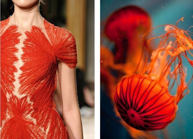 the image is a split image. the left side shows a fashion model wearing a red lace dress. the right side shows an orange jellyfish in the sea. the model's dress is delicate and elegant, while the jellyfish is fragile and translucent. the two images are juxtaposed to create a visual contrast between the natural world and the world of fashion.