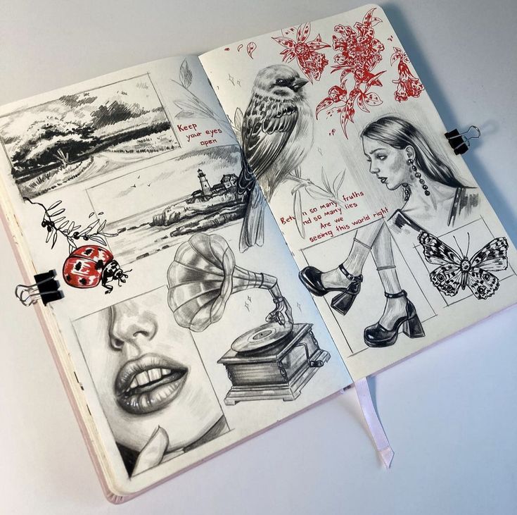 closeup shot of an open sketchbook displaying a doublepage spread filled with diverse and detailed drawings. the artwork is a mixedmedia piece using primarily charcoal and graphite for the main images and red ink for text and floral accents. the left page features a landscape scene, a ladybug on a branch, and a closeup of a woman's lips. the right page shows a bird, a woman sitting with her legs crossed, a gramophone, a butterfly, and some red flowers. there's a quote incorporated into the design: "keep your eyes open" and "between so many truths and so many lies are we seeing this world right?". the overall style suggests a personal, artistic journal expressing various thoughts and observations through drawings and visual elements. the sketchbook itself appears to be a bound journal with thick pages suitable for mixedmedia work.  two binder clips are also visible, one on each side.