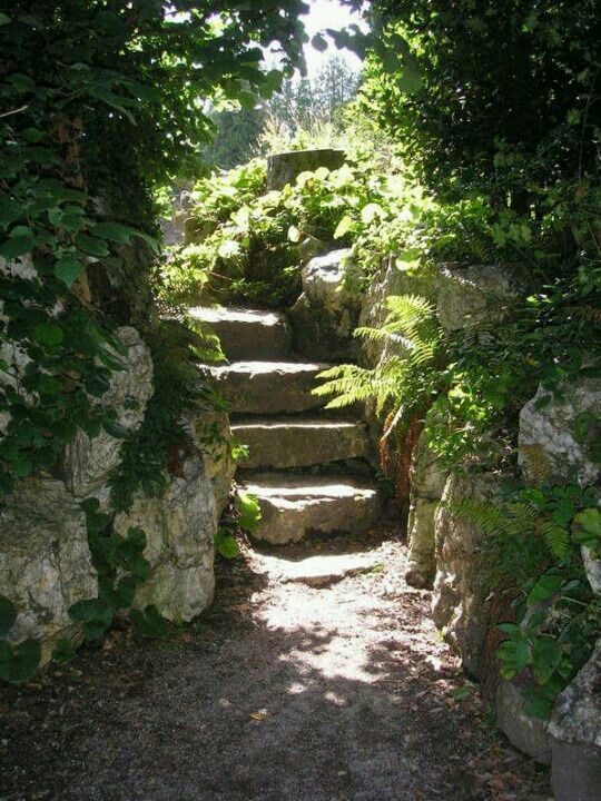 the image shows a secluded stone pathway or staircase winding through a lush, overgrown garden.  the steps are made of large, uneven stones, and are partially shaded by overhanging trees and dense foliage. sunlight filters through the leaves, creating dappled shadows on the path.  rocks and various types of greenery, including ferns, line both sides of the pathway, giving the scene a tranquil and somewhat hidden feel. the overall impression is one of a peaceful, natural setting.