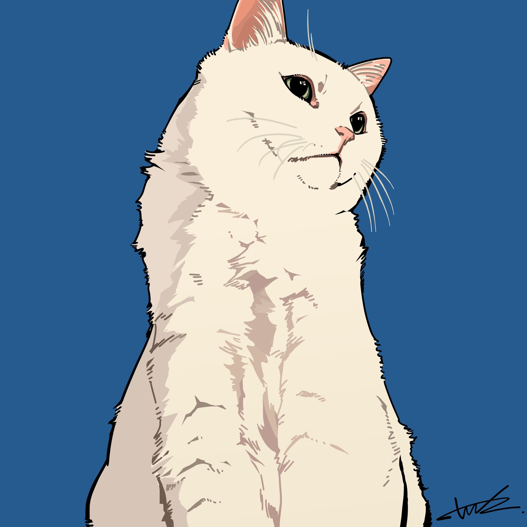 the image is a stylized illustration of a white cat.  the cat is depicted from the chest up, sitting and facing slightly to the right, looking thoughtfully towards the upper right corner. the style is reminiscent of graphic art or a pop art cartoon, with bold lines and simplified shading. the background is a solid, deep blue. the cat’s fur is shown with subtle texturing to suggest fluffiness. the overall aesthetic is clean, elegant, and slightly minimalist.