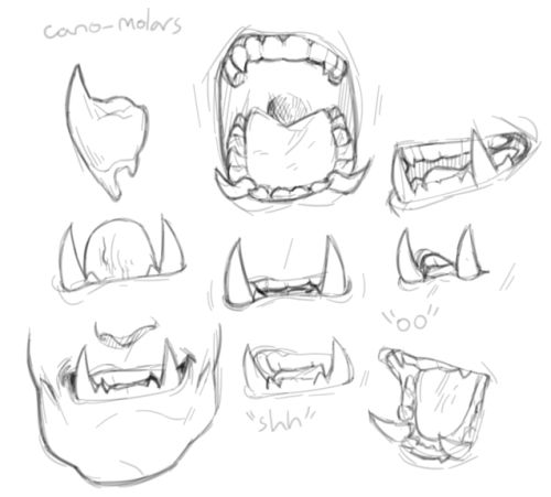 a handdrawn sketch of a series of different mouths with teeth. there is one with its mouth open wide, another that is slightly open, another closed with just a few teeth showing, and others in various other poses. the sketch is labeled "canomolars."