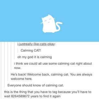 the image is an internet meme with a white cat drawing. the caption is about how "calming cat" is a meme that is popular on the internet. the caption says that it is a calming cat that is always welcome and everyone should know about it. it is also a funny meme because it says that it will take a very long time to find it again.