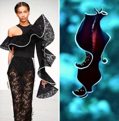 this image shows a splitscreen view. on the left side, a fashion model poses in a black and white dress with lace and ruffled sleeves. she stands on a runway in a studio setting. on the right side, a colorful sea slug is seen in its underwater habitat. the sea slug is black and dark red, and the background is an outoffocus blue water scene. the image draws a visual connection between the elegance of fashion and the beauty of nature.