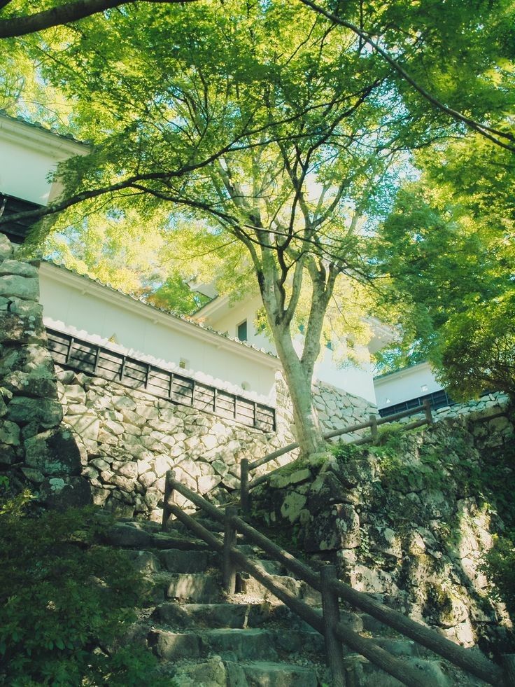 the image depicts a serene japanese garden scene.  stone steps, bordered by a rustic wooden railing, wind upward alongside a mosscovered stone wall.  a traditional japanesestyle white building is partially visible behind the wall, partially obscured by lush green trees, suggesting a temple, shrine, or castle setting. sunlight filters through the leaves, casting dappled light and shadow on the scene. the overall atmosphere is tranquil and peaceful. the image emphasizes the natural beauty of the garden integrated with traditional japanese architecture.