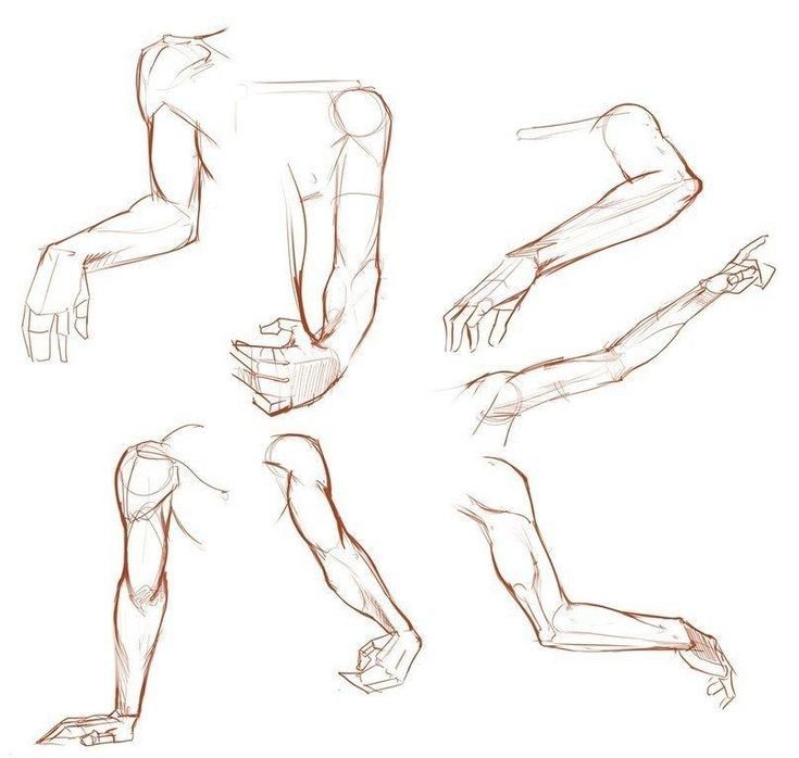 this image shows a drawing of several human arms in different poses. the drawing is done in pencil and is very detailed. it would be useful for artists who are studying human anatomy or trying to improve their drawing skills.