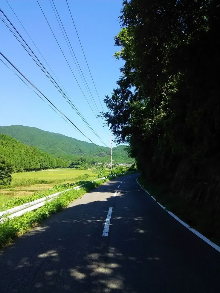 a scenic view of a rural road curving through the countryside, lined with trees on one side and a green field and mountains in the background. power lines stretch across the clear blue sky. the road has a white center line and guardrails. the image is taken on a sunny day.