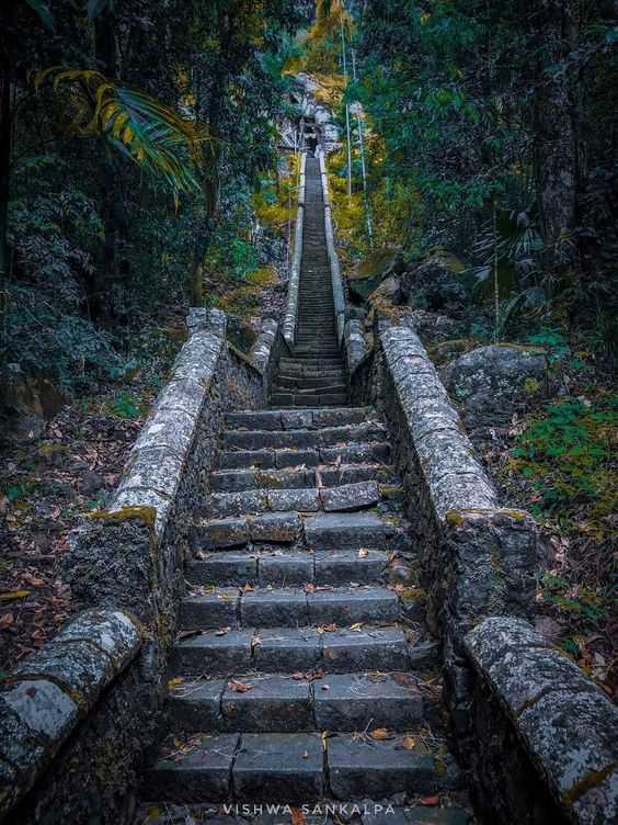 this image captures a seemingly endless flight of weathered stone stairs leading up a densely forested hillside. the steps, constructed from large stone blocks, are flanked by mosscovered walls and disappear into the light at the top, hinting at a temple or structure hidden within the lush greenery. the scene evokes a sense of mystery and invites contemplation about the journey and the destination. the play of light and shadow through the dense canopy adds to the atmosphere of serenity and timelessness.