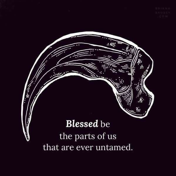 the image features a white drawing of a claw on a black background. below the claw are the words "blessed be the parts of us that are ever untamed." in the upper right corner, there's text that reads "briana saussy .com."