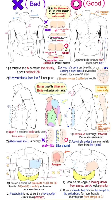 the image is an instructional guide on how to draw a muscular male torso. it compares and contrasts "bad" and "good" techniques, offering tips on muscle placement, line weight, and perspective to achieve a more realistic and aesthetically pleasing result.