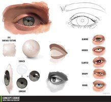 the image showcases a comprehensive guide on drawing eyes. it features various elements like eye surface texture representations, different eye shapes (almond, hooded, slanted, droopy, round), realistic eye drawings, and a breakdown of eye shading. it seems to be a helpful resource for artists looking to improve their eye drawing skills.