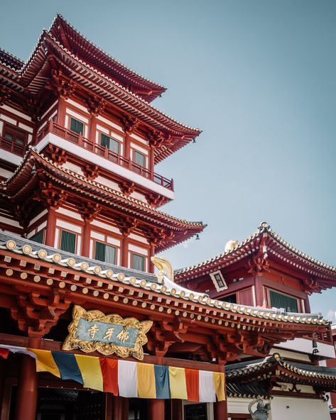 the image showcases a vibrant and detailed view of the buddha tooth relic temple in singapore.  the focus is on the temple's impressive red and gold architecture, characterized by its tiered roofs, intricate carvings, and ornate details.  several pagodas are visible, with one prominently featured in the foreground, while another stands slightly behind.  brightly colored prayer flags hang below the eaves, adding a pop of color. the sky is a clear, light blue, providing a stark contrast to the rich colors of the temple. the photograph is taken from a low angle, emphasizing the height and grandeur of the structures.