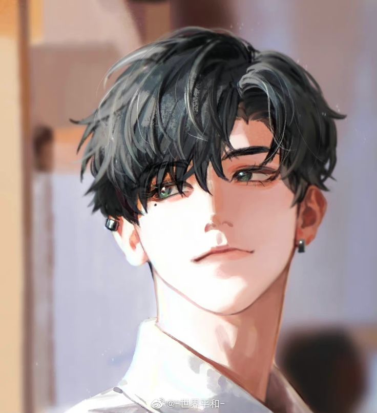 the image is a digital painting or illustration in the anime style, depicting a young, handsome anime boy. he has dark, short hair styled with bangs that partially cover his forehead. his eyes are a striking green, and he has subtle, delicate features.  he is wearing a lightcolored collared shirt and has a small earring visible in his ear. the lighting in the artwork is soft and subtle, with sunlight seemingly illuminating his face, creating a calm and peaceful mood. the overall style is elegant and stylish, bordering on a kpopinspired aesthetic.
