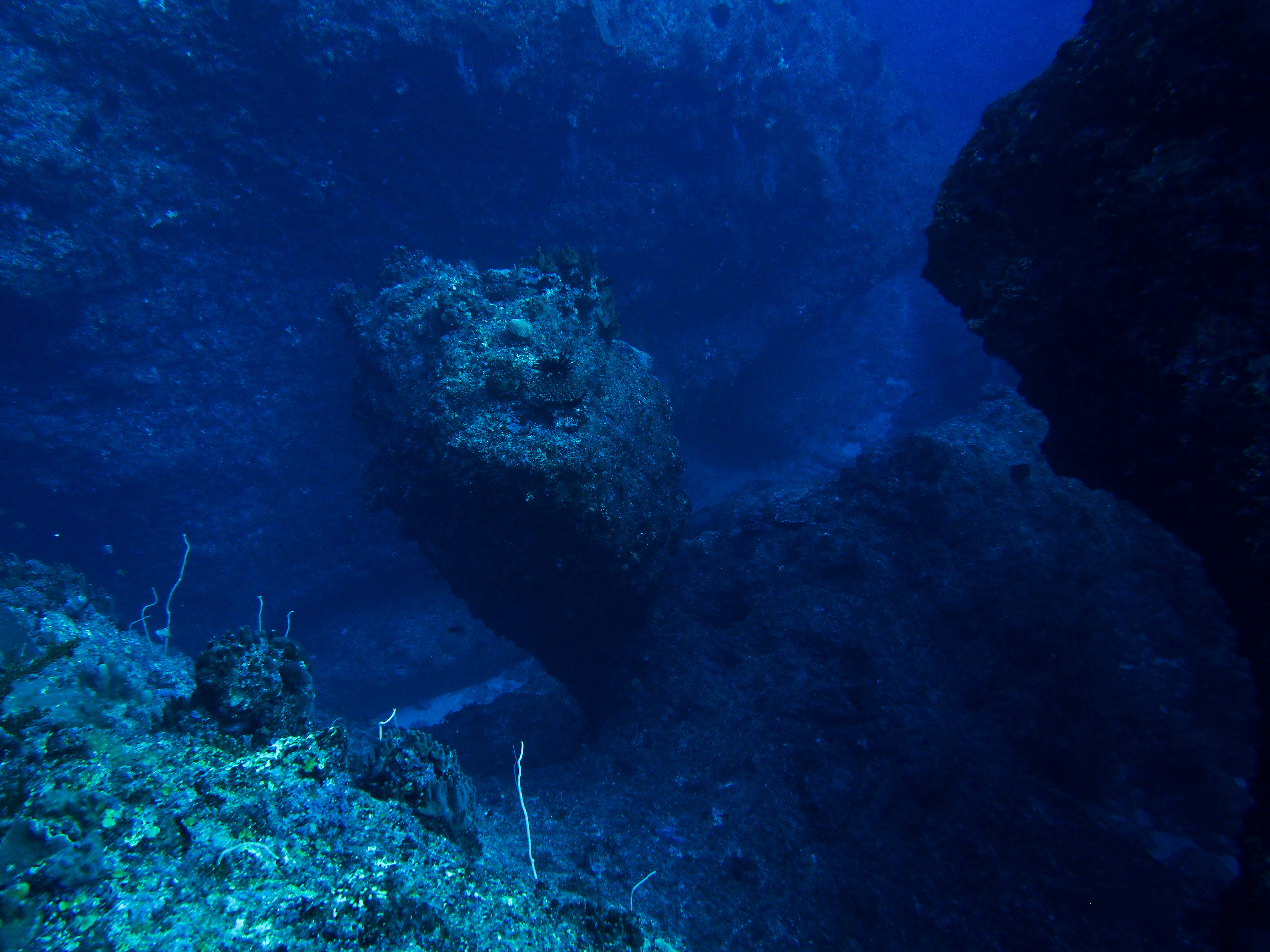 a dimly lit underwater scene showing a vibrant coral reef teeming with life.  the image is dominated by various shades of blue, creating a serene and mysterious atmosphere.