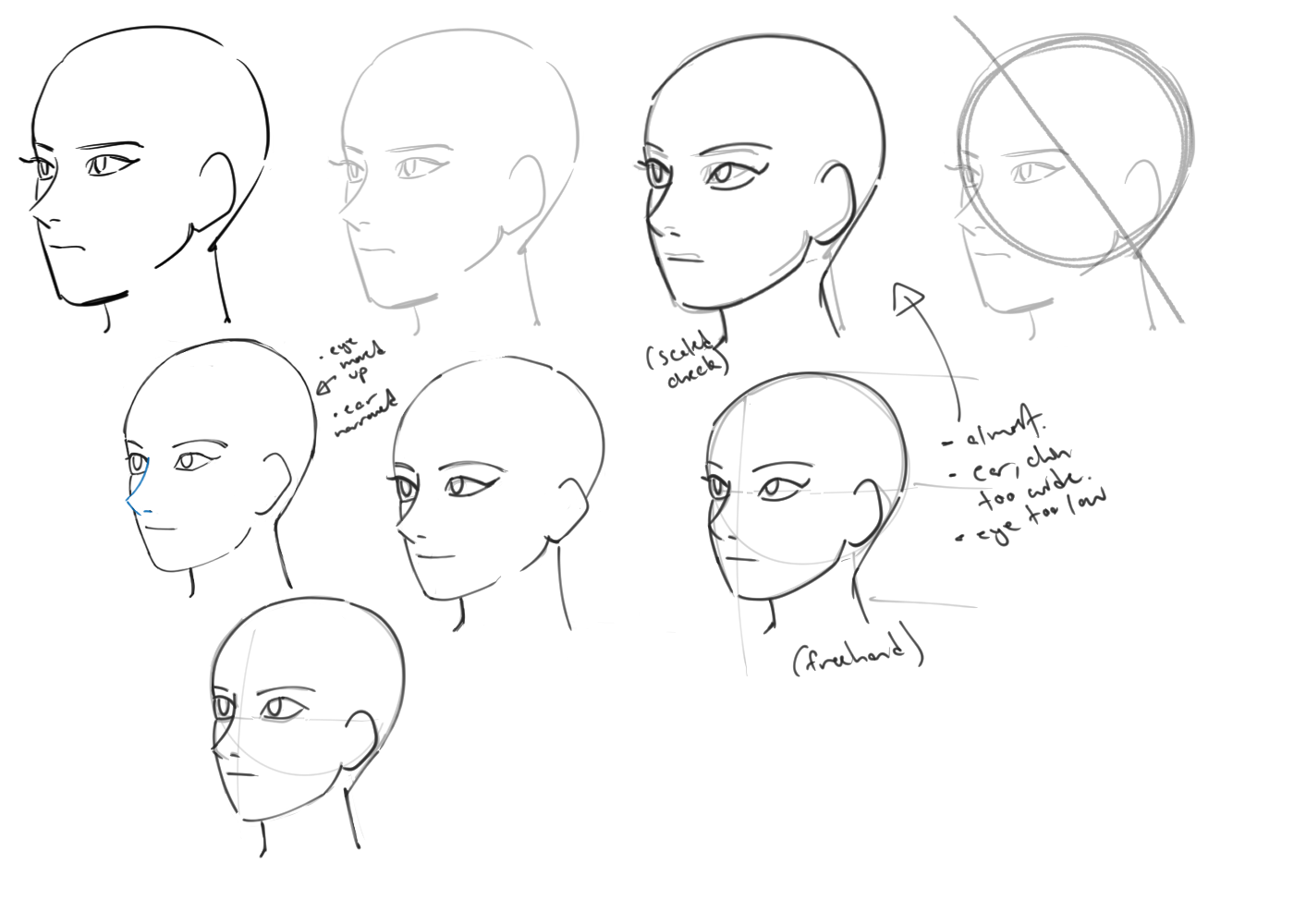 the image shows multiple sketches of a head in a side profile. there are notes regarding some of the sketches such as eye being marked up, and a description of things that should be changed.
