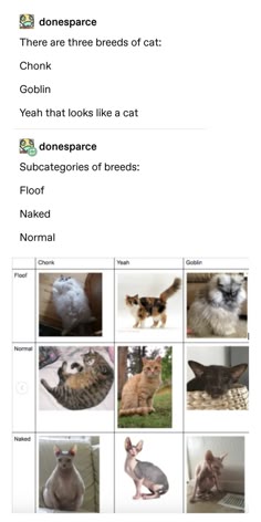 this image is a meme that lists different types of cat breeds, with a humorous, satirical take on them. it uses the words "floof", "naked", and "normal" to describe these breeds. it also uses funny words for cat breeds, like "chonk" and "goblin". the meme's title reads "there are three breeds of cat". the categories are listed in a table with pictures of different cats corresponding to each category.  this meme is designed to be humorous and relatable to cat lovers.