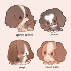this cute cartoon illustration features four different types of dogs: a springer spaniel, a cavalier, a beagle, and a cocker spaniel. each dog is depicted with a happy and playful expression, showcasing their unique characteristics. the illustration is done in a simple yet charming style, using soft colors and rounded shapes to create a whimsical and endearing appeal. the image is sure to bring a smile to any dog lover's face.