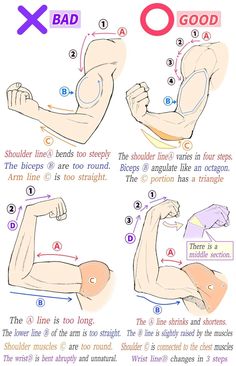 the image is an anatomical drawing tutorial demonstrating the correct way to draw a flexed bicep. it contrasts a poorly drawn arm labeled "bad" with a welldrawn arm labeled "good", highlighting common mistakes and providing anatomical explanations for each. the tutorial breaks down the arm into simple shapes and lines, emphasizing muscle definition and proper proportions.